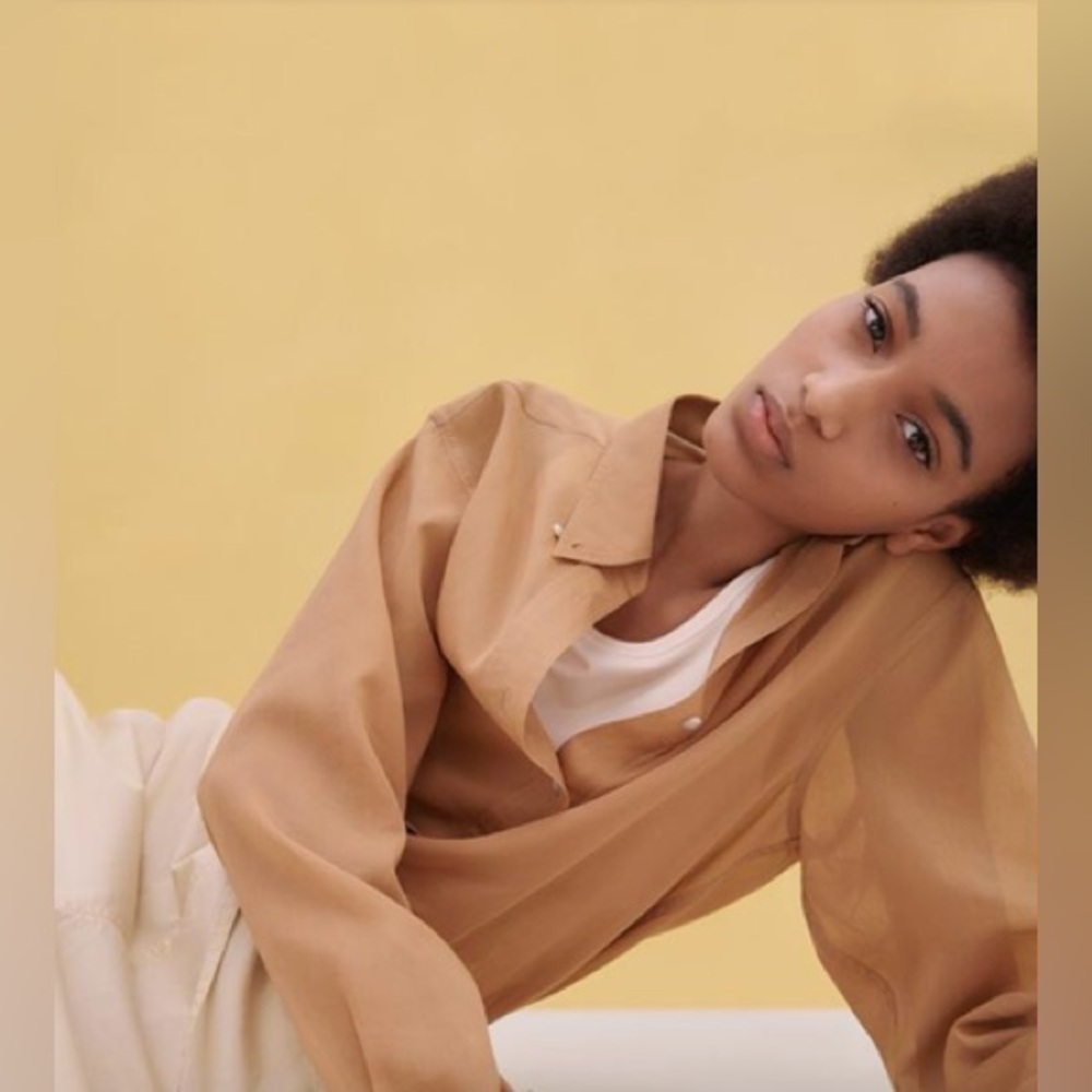 Uniqlo U collection Long Sleeve Button Down Shirt / sheer